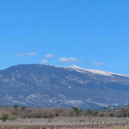 Villa Mon Ventoux Modene Esterno foto